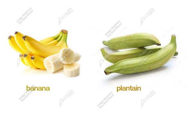 Plantain Slicing Machine