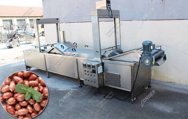 Peanut Fryer Machine Suppliers