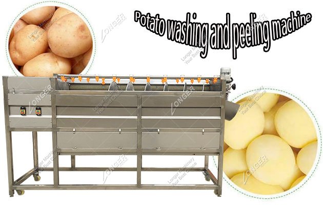 Automatic Ginger Washer and Peeler Machine Price丨Ginger Peeling Machine  Manufacturer